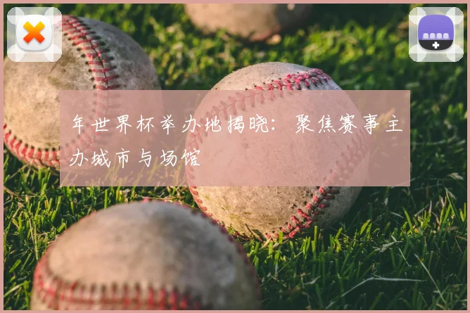 年世界杯举办地揭晓：聚焦赛事主办城市与场馆