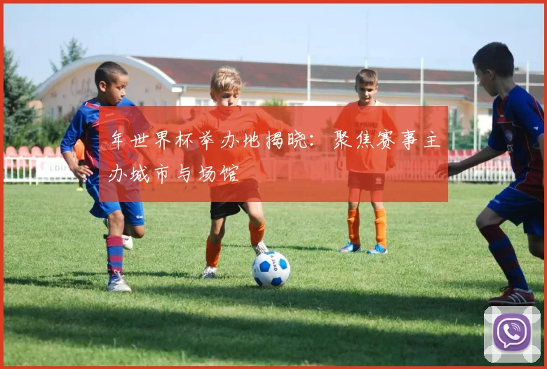 年世界杯举办地揭晓：聚焦赛事主办城市与场馆