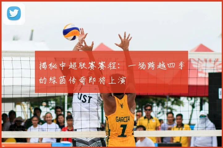 揭秘中超联赛赛程:一场跨越四季的绿茵传奇即将上演