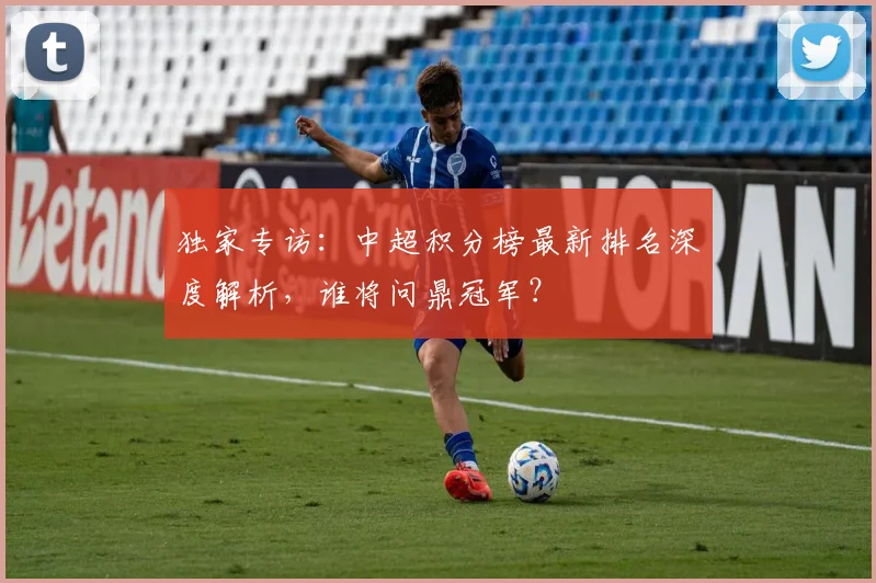 独家专访：中超积分榜最新排名深度解析，谁将问鼎冠军？